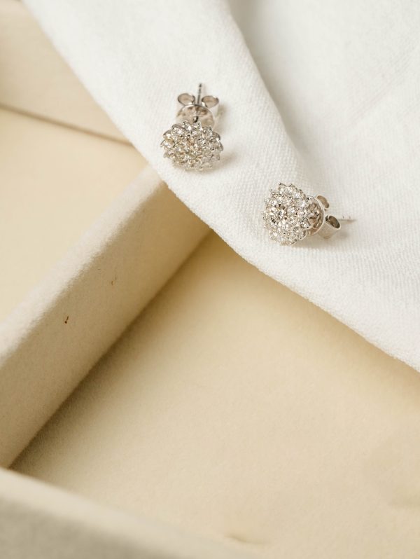 18k Sunshine Diamond Earring